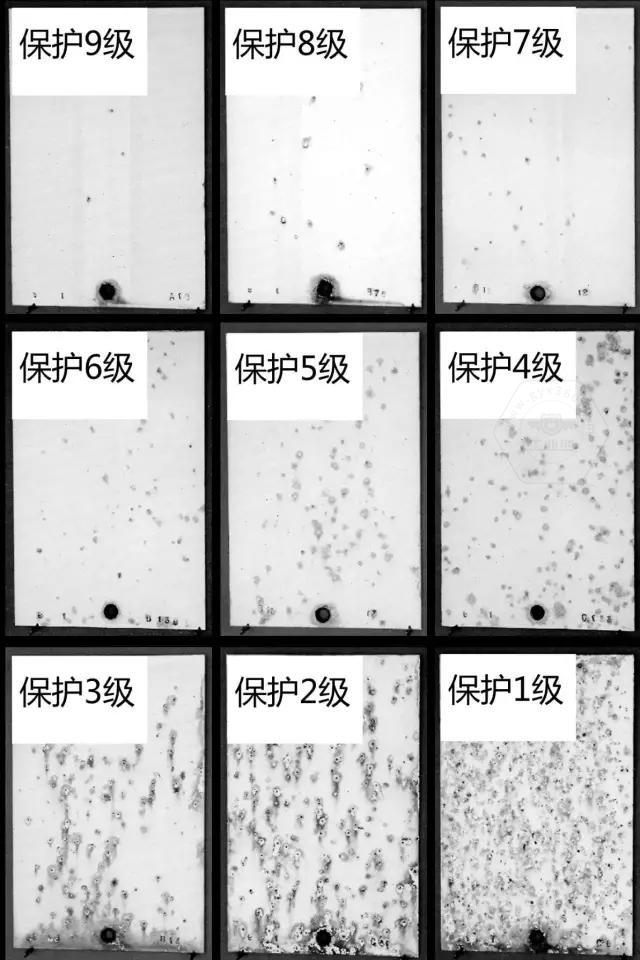 香港十二生肖卡图片